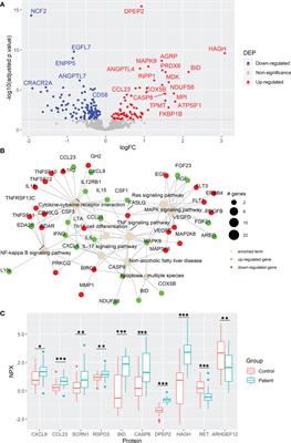 Plasma protein changes reflect colorectal cancer development and associated inflammation